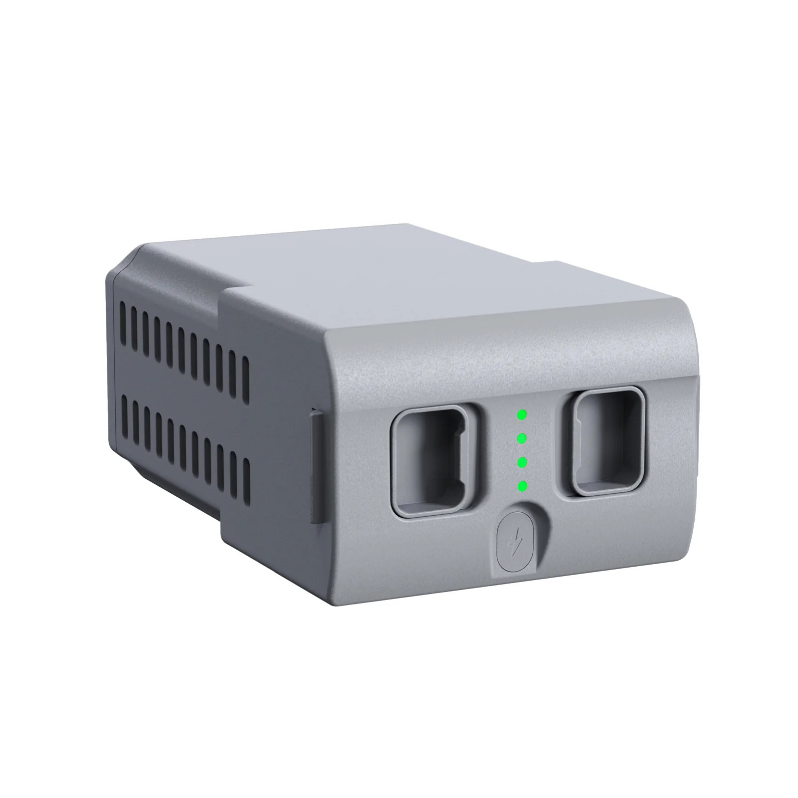 Batteria Go2 (versione standard)