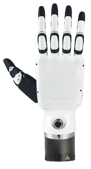 Third party dexterous hand (one hand) (needs to distinguish left and right hands)